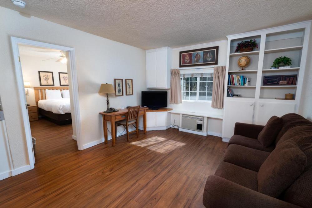 Deluxe King Suite interior